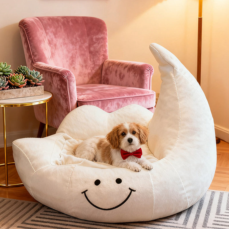Contemporary Velvet Moon-Shaped Pet Bed for Cats and Dogs — Curved Design with Plush Sponge Cushion, Perfect for the Bedroom