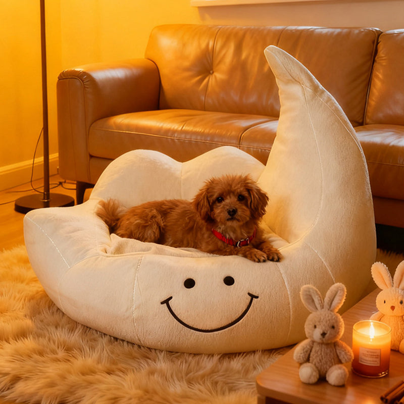 Contemporary Velvet Moon-Shaped Pet Bed for Cats and Dogs — Curved Design with Plush Sponge Cushion, Perfect for the Bedroom