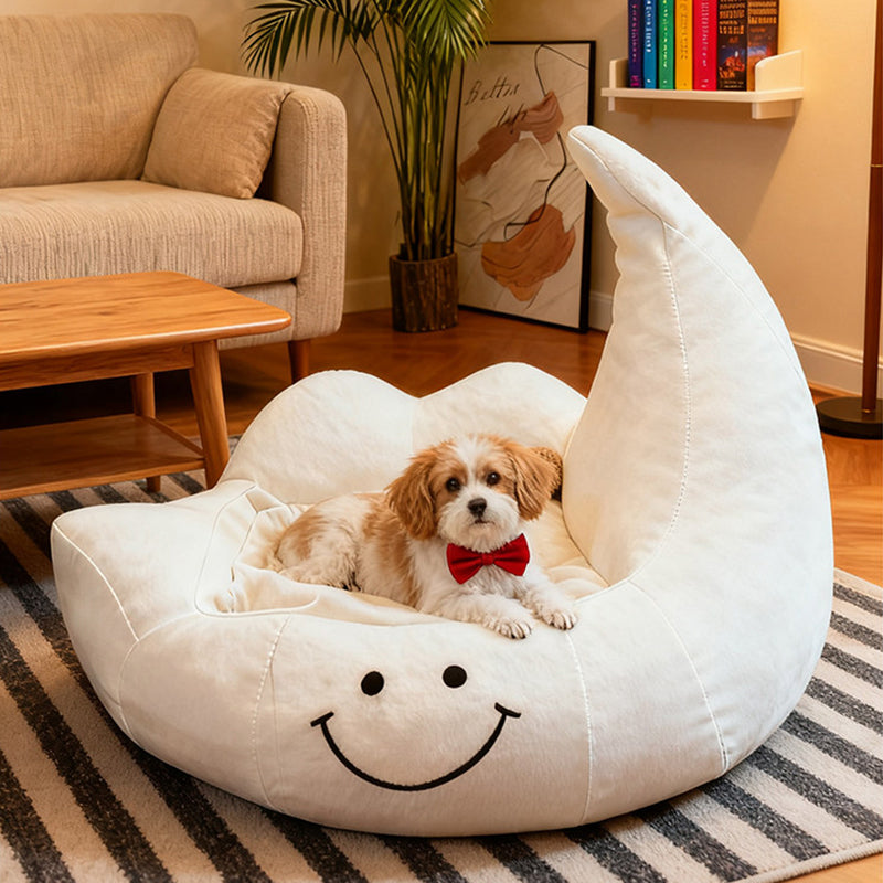Contemporary Velvet Moon-Shaped Pet Bed for Cats and Dogs — Curved Design with Plush Sponge Cushion, Perfect for the Bedroom