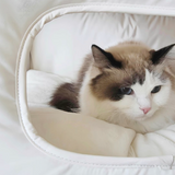 Modern Minimalist House-Shape Pet Bed – Waterproof, Cozy Polyester Cotton with PP Cotton Fill, Plastic Base, Ideal for Dogs & Cats in the Bedroom