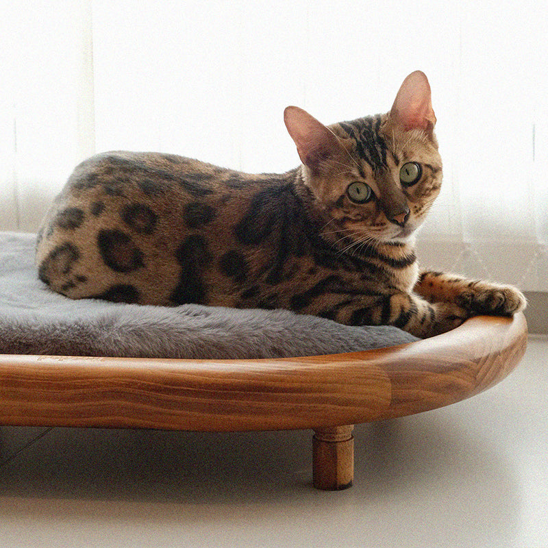Modern Minimalist Oval Solid Wood Velvet Pet Bed with Cat Claw Leather Accents for Cats and Dogs, Bedroom-Ready