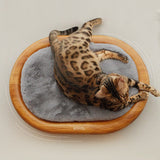 Modern Minimalist Oval Solid Wood Velvet Pet Bed with Cat Claw Leather Accents for Cats and Dogs, Bedroom-Ready