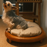 Modern Minimalist Oval Solid Wood Velvet Pet Bed with Cat Claw Leather Accents for Cats and Dogs, Bedroom-Ready