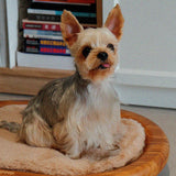 Modern Minimalist Oval Solid Wood Velvet Pet Bed with Cat Claw Leather Accents for Cats and Dogs, Bedroom-Ready