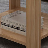 Sleek Modern Minimalist Square Coffee Table in Engineered Wood — Two-Tier Shelving for Living Room & Bedroom