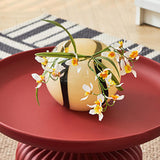 Sleek Contemporary Round Coffee Table with Striped PP Base – Ideal for Living Room