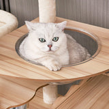 Modern Scandinavian Rectangular MDF Cat Tree with Acrylic Accents — Multi-Functional Living Room Furniture