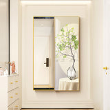 Contemporary Rectangular Full-Length Mirror in Float Glass with Push-Slide PS Frame – Decorative Wall Mirror for Living Room & Entryways