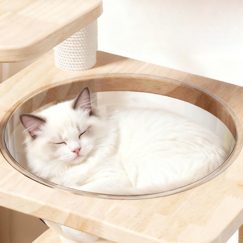 Scandinavian-Style Square Pine Cat Tree – Solid Wood, Hemp Rope, Paper Tube, 4-Tier Living Room Cat Furniture