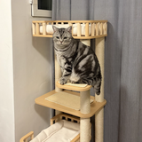 Contemporary Scandinavian 4-Tier Cat Tree — Solid Wood Panels, Velvet Fabric, and Sisal Posts, Square Multi-Layer Design for Living Room