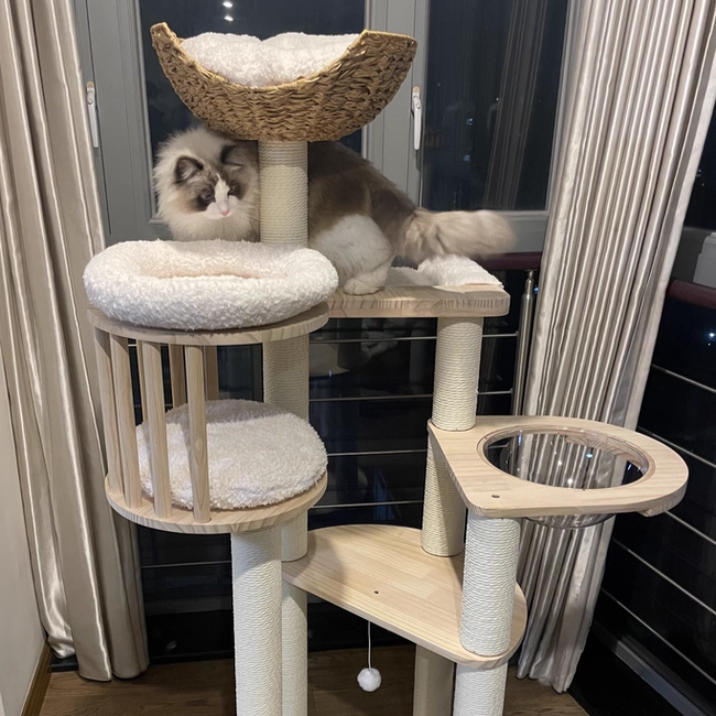Contemporary Scandinavian Round Cat Tree – 5-Tier, Solid Pine, Faux Rattan, Velvet Fabric & Kraft Paper Rope for Living Room
