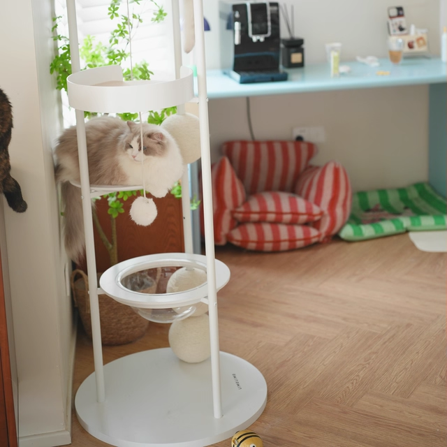 Stylish Contemporary Scandinavian Round Cat Tree – 5-Tier, Solid Pine & MDF with Iron, Sisal & Acrylic Accents for Living Room