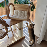 6-Tier Large Cat Tree – Contemporary Scandinavian Rectangular Solid Wood Panel Cat Tower with Velvet Fabric, Paper Rope, and Acrylic Accents for Living Room