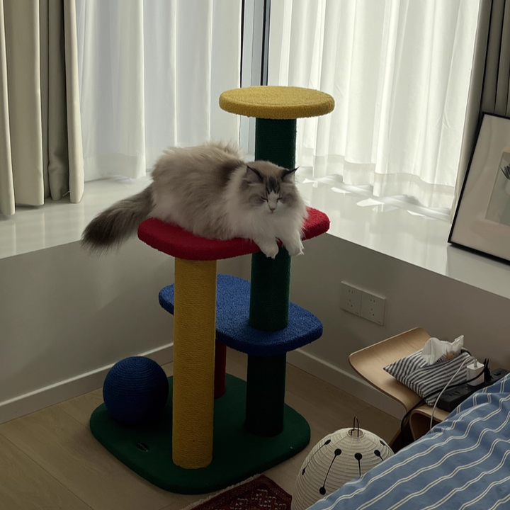 Modern Rectangular Cat Tree – 2/3/4-Tier Multi-Level with Particleboard, Corrugated Paper, Sisal & Jute (EPS Core) for Living Room