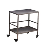 All-Purpose Outdoor Cart End Table with 2-Tier Movable Storage for Gardens & Outdoor Patios