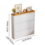 Modern Minimalist Steel Slim Rectangular Shoe Storage with Flip Drawers — 3/4-Tier Entryway Organizer