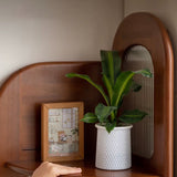 Contemporary Retro Fan-Shaped Corner Shelf Unit, 4-Tier – Boxwood Pine Wood with Glass & Stainless Steel for Living Room