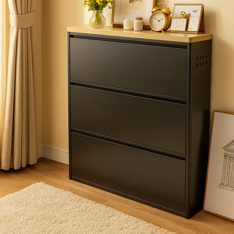 Modern Minimalist Steel Slim Rectangular Shoe Storage with Flip Drawers — 3/4-Tier Entryway Organizer