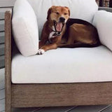 Modern Luxury Square Solid Wood Outdoor Sofa with Sponge Rope Cushions, Backrest and Armrests