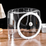 Modern Washable Square Cat Bed – Transparent, Ventilated Plastic Cat House with One Entrance for Living Room