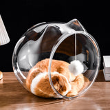Modern Washable Square Cat Bed – Transparent, Ventilated Plastic Cat House with One Entrance for Living Room