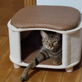 Traditional Chinese Solid Wood Cat House with Rattan Mat — 2-Tier, Curved Square Design for Bedroom