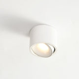 Sleek Modern Round LED Spotlight Flush Mount Ceiling Light, Adjustable
