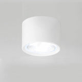 Nordic Cylinder LED Spotlight Flush-Mount Ceiling Light - Sleek Modern Fixture