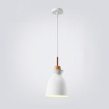 Nordic Macaron Metal 1-Light Pendant Fixture