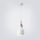 Nordic Macaron Metal 1-Light Pendant Fixture