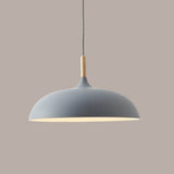 Modern Metal and Wood Dome Pendant Light — 1-Light, Wooden Top