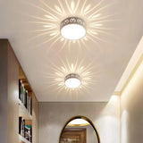 Elegant LED Ceiling Light with Dual Warm & Cool White Illumination