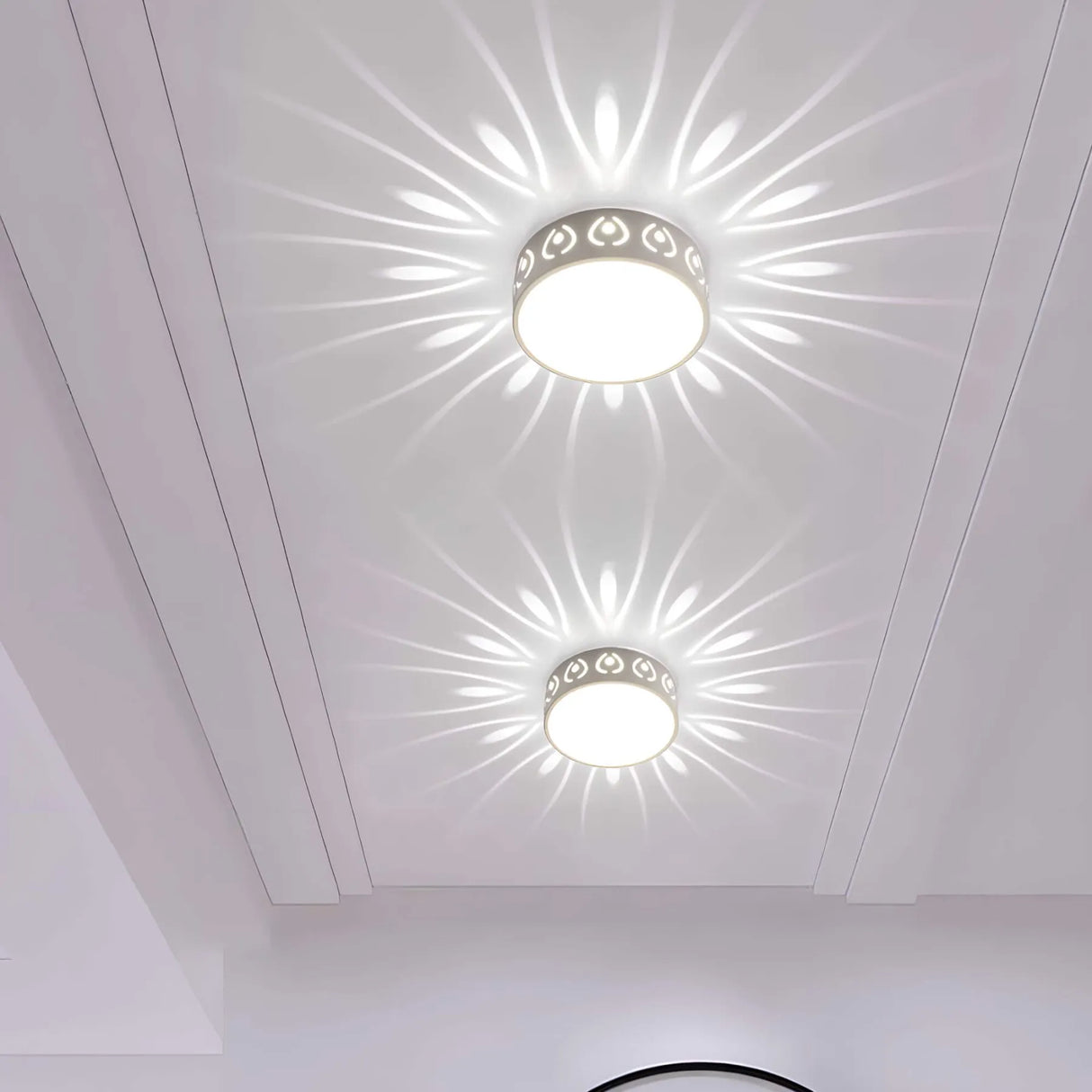Elegant LED Ceiling Light with Dual Warm & Cool White Illumination
